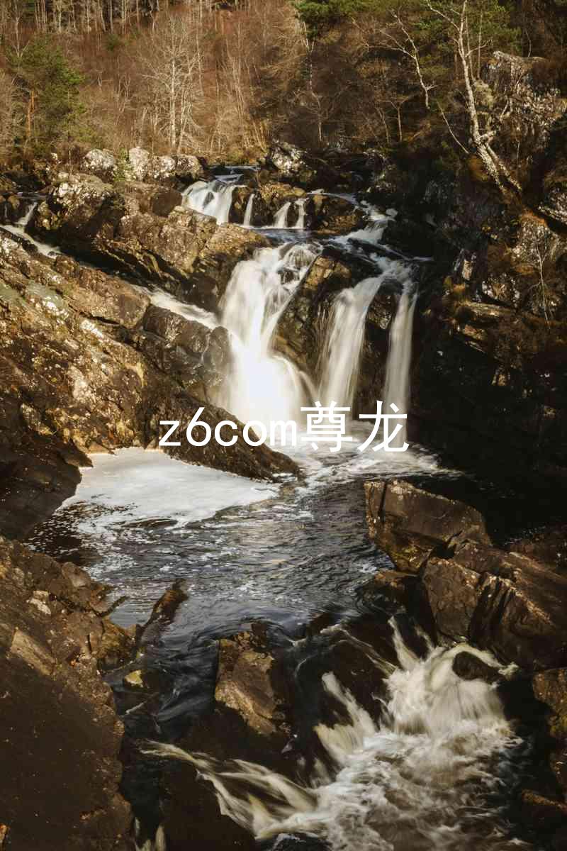z6com尊龙
