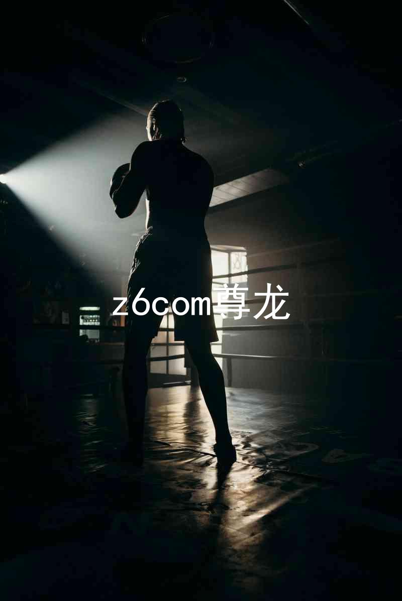 z6com尊龙