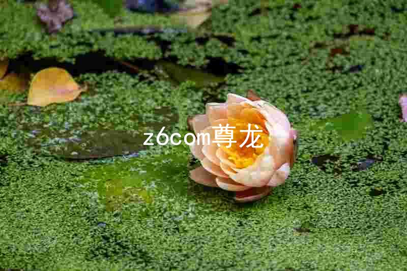 z6com尊龙