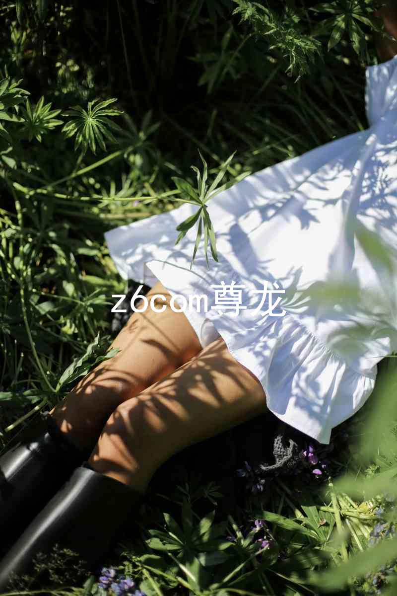 z6com尊龙